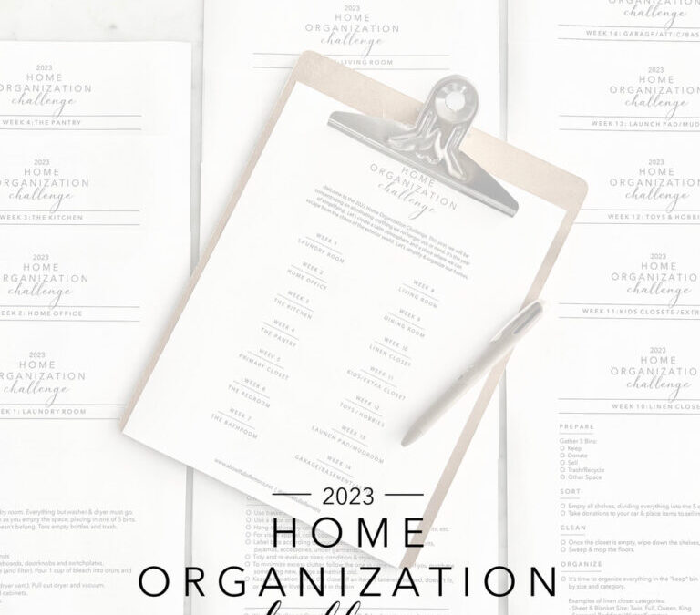 2023 Home Organization Challenge Kit