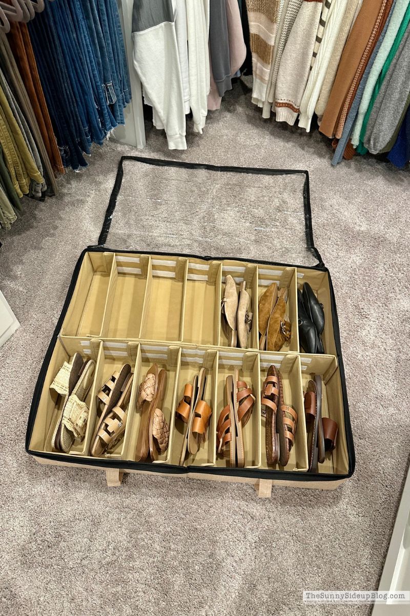 Shoe Organizer (Sunny Side Up)