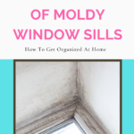 Don’t Let Mold Stay In Your Home