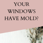 Mold Issues?