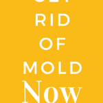 Tips For Moms To Kill Mold