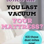 Why You Should Vacuum Your Mattress