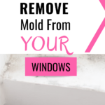 MOLD