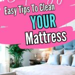 surprisingly easy teips to clean your own mattress