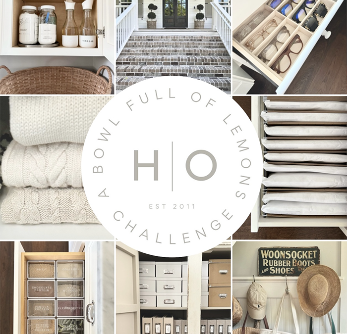 2025 Home Organization Challenge Kit