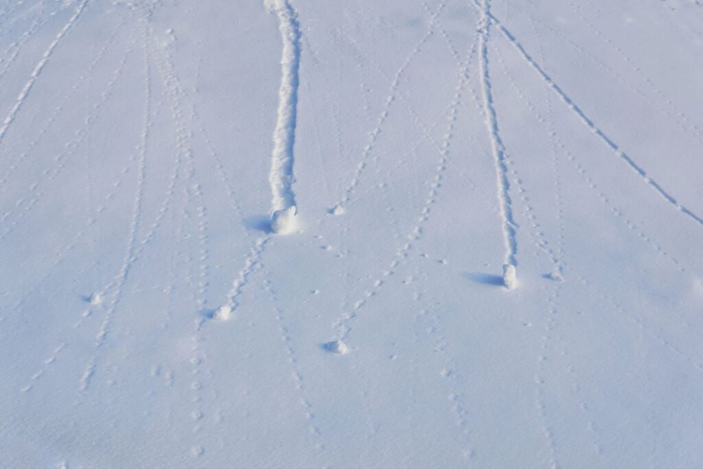 snow balls rolling down a hill