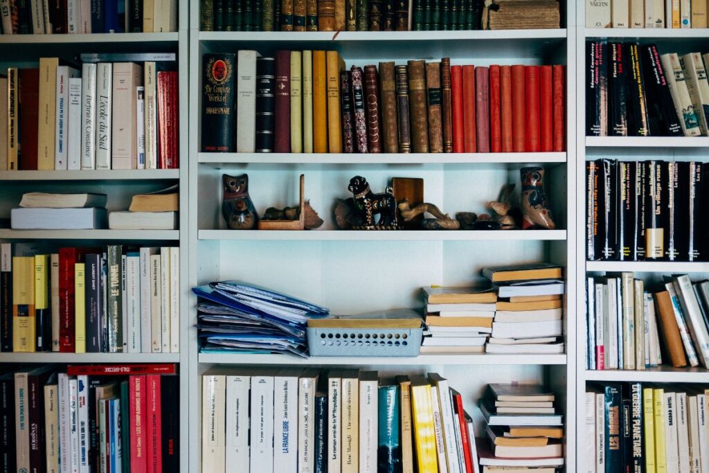 bookshelves full of books