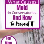 Dealing With Existing Mold In A Conservatory