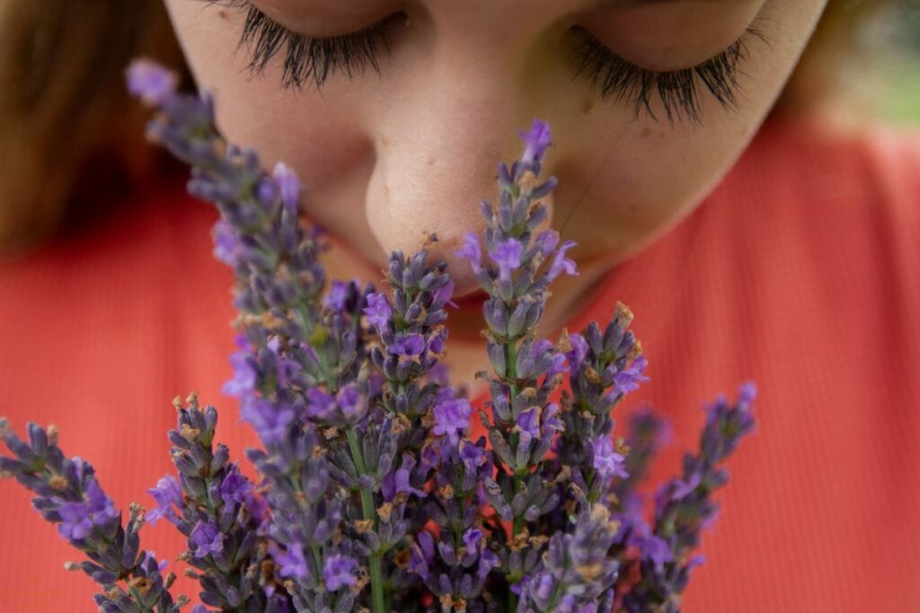 woman smelling lavender