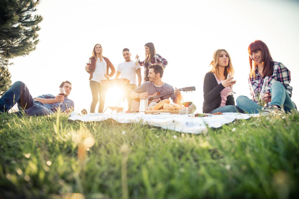 friends enjoying a picnic in the grass