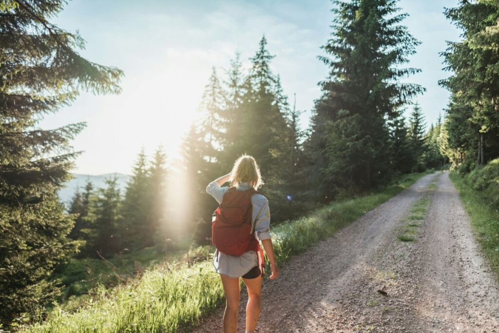 create peaceful, quiet spaces when the world gets too loud