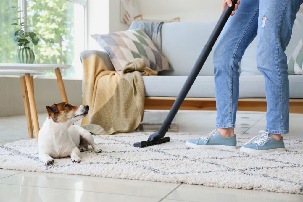 one hour cleaning method
