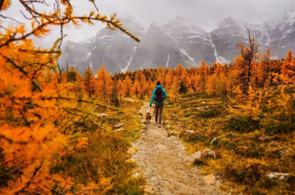 10 Things to Let Go of for a Fresh Start in the Fall