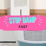 Pictures of two different dehumidifiers with the wording stop damp fast in the middle