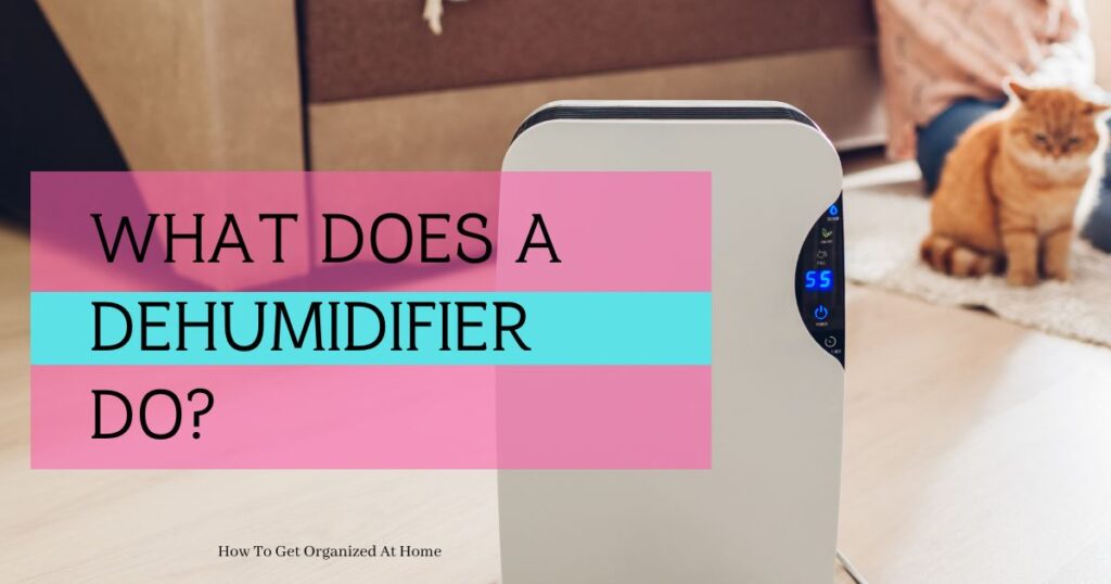 An image of a dehumidifier sitting in a room with a ginger cat and a person sitting on the floor with the words 'What Does A Dehumidifier Do' in a pink and blue box